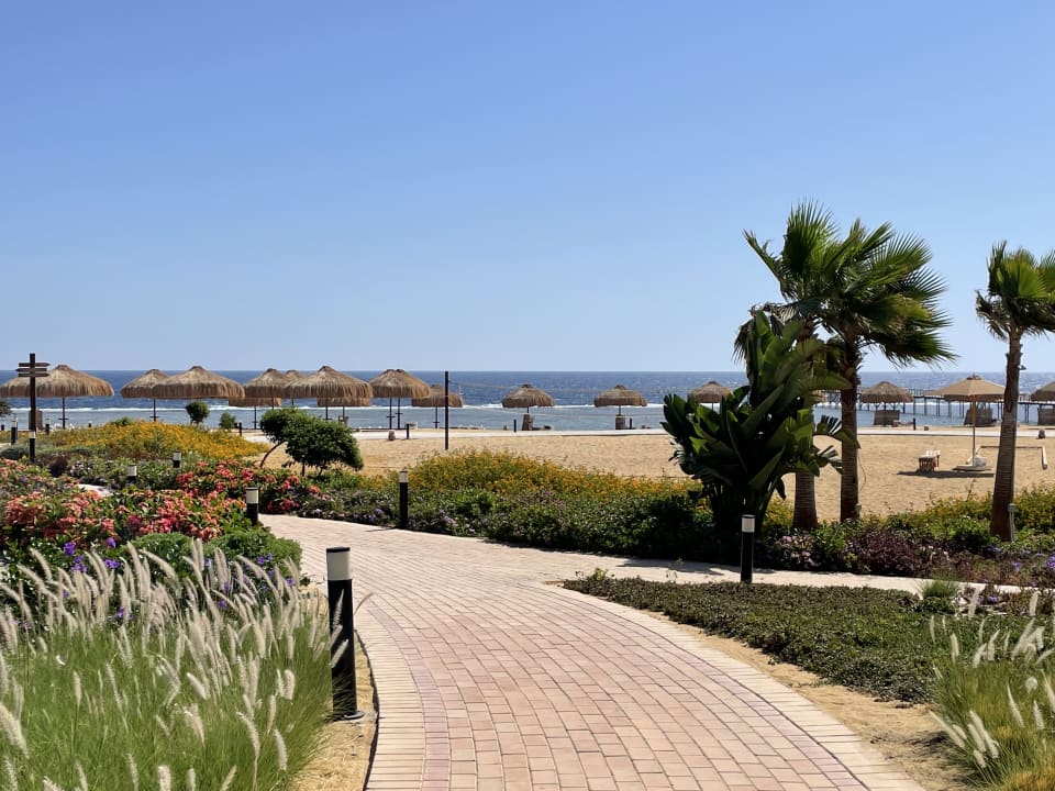 Gartenanlage Lazuli Hotel Marsa Alam