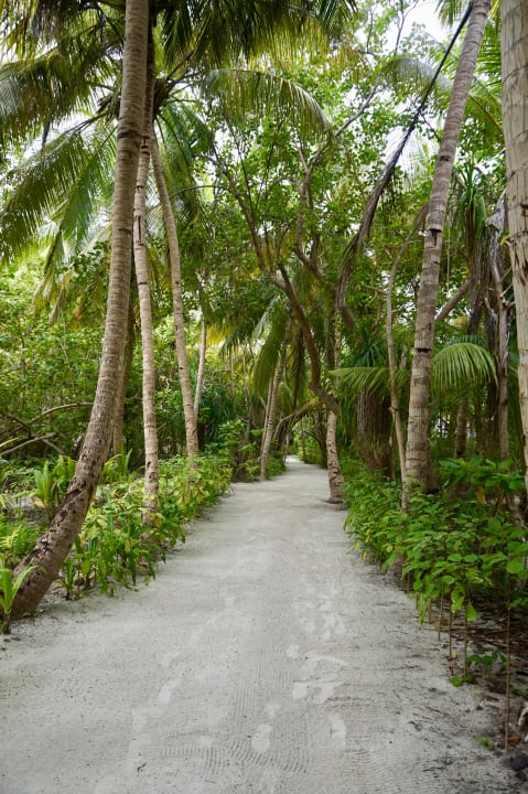 Gartenanlage Kihaa Maldives