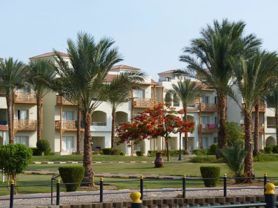 Ogród Pickalbatros Dana Beach Resort - Hurghada