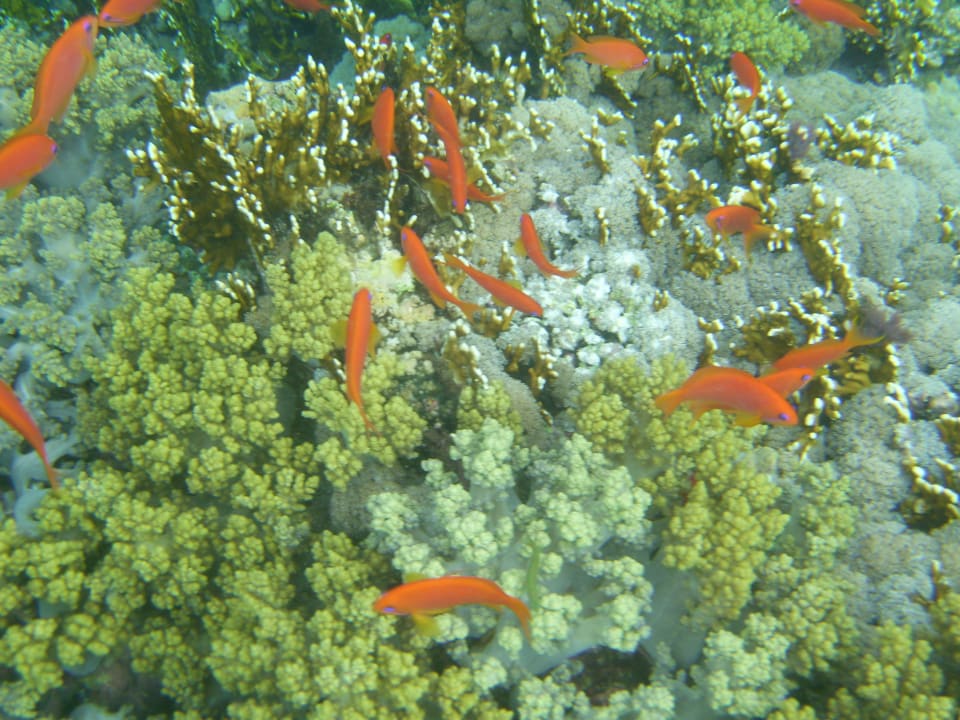 Strand Casa Mare Resort