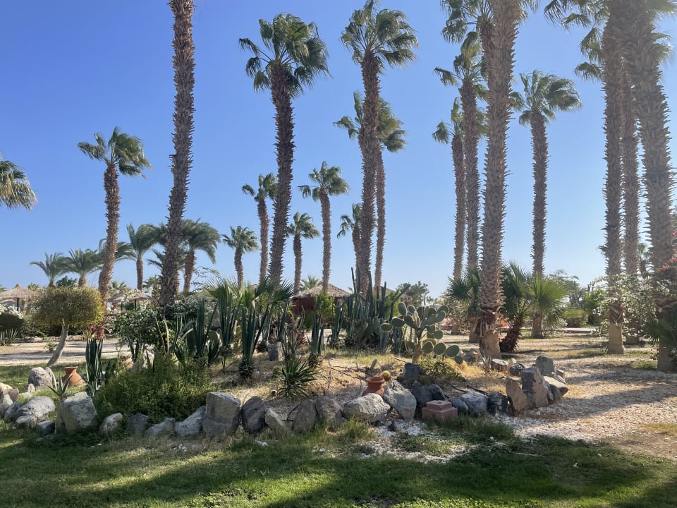 Gartenanlage Lotus Bay Beach Resort