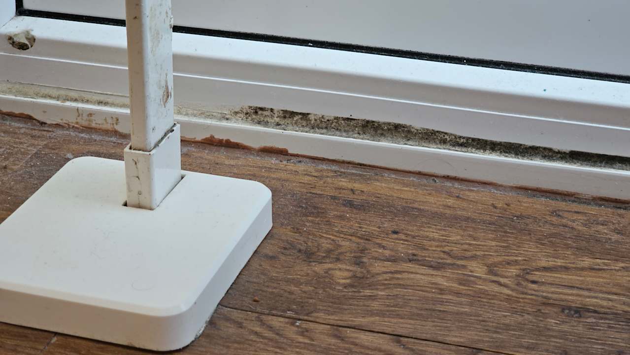 Zimmer Ferienwohnungen Ferienpark Weissenhäuser Strand