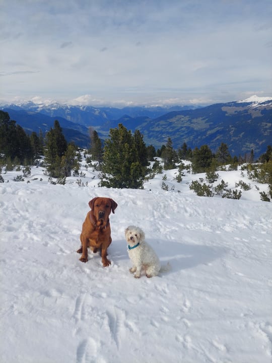 Ausblick Alpin-Ferienwohnungen Hochzillertal