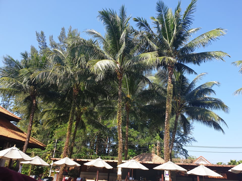 Pool Khaolak Oriental Resort - Adults only