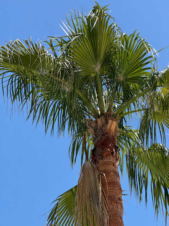 Pool Diamond Excellence Resort & Spa