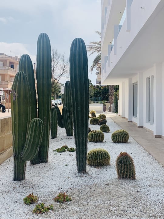 Außenansicht The Sea Hotel by Grupotel - Adults only