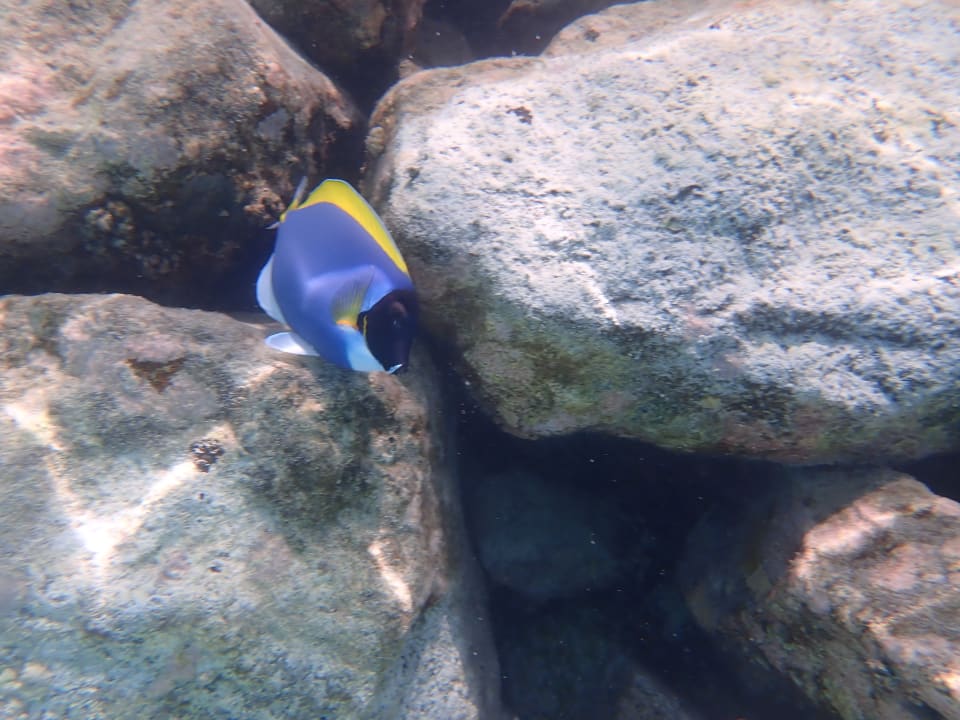 Sport & Freizeit Hotel Riu Palace Maldivas