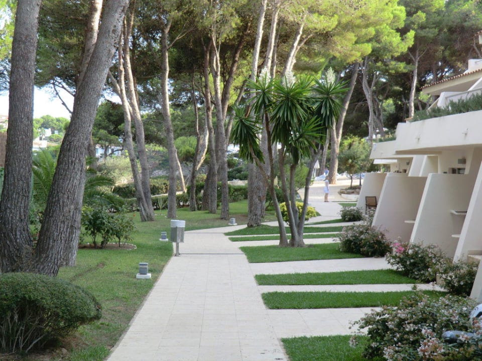  Hotelgelände Iberostar Waves Pinos Park