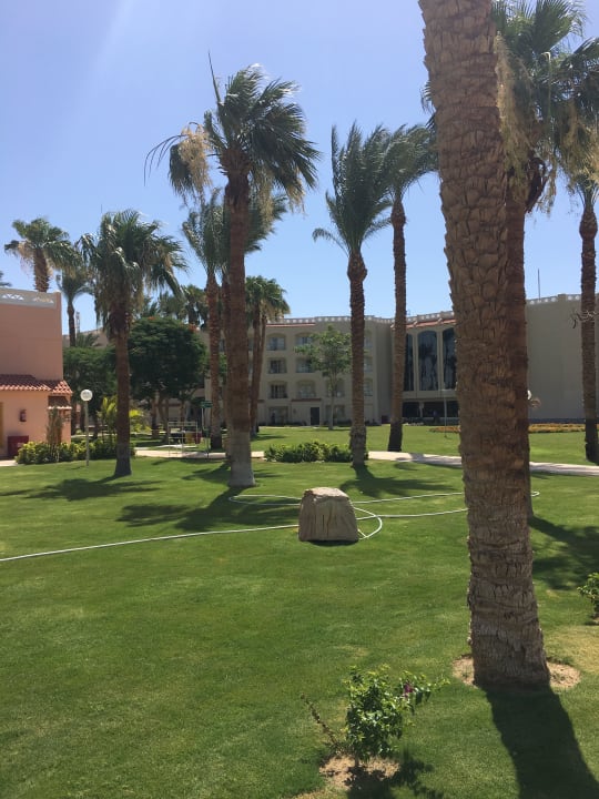 Außenansicht Beach Albatros Resort