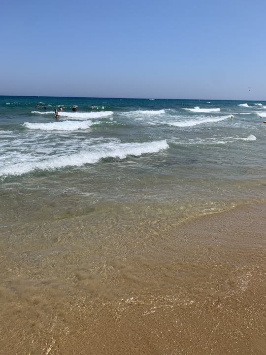 Strand Cactus Beach