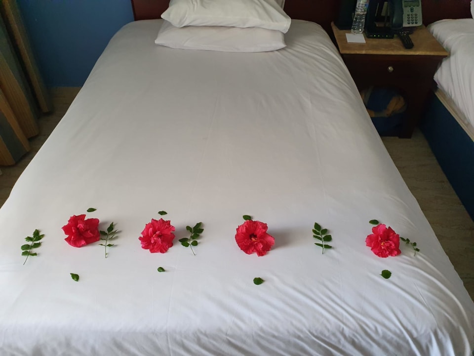 Zimmer Stella Garden Resort & Spa, Makadi Bay