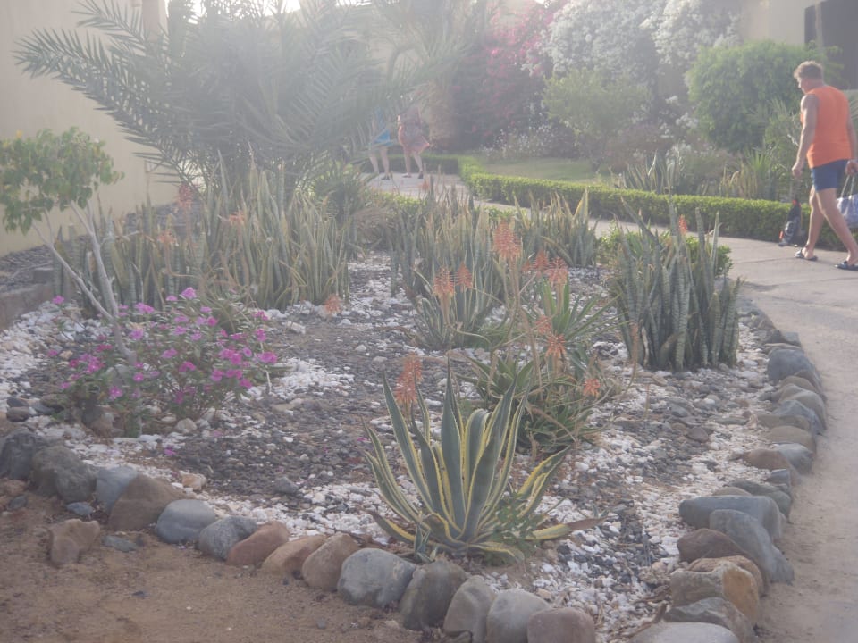 Wunderschön Three Corners Sea Beach Resort