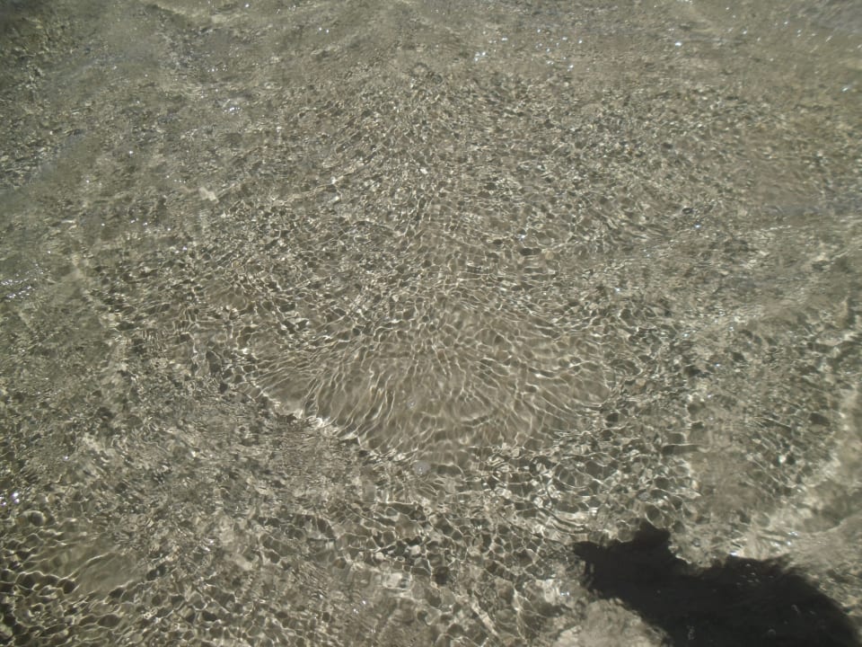 Strand Hotel Titanic Palace