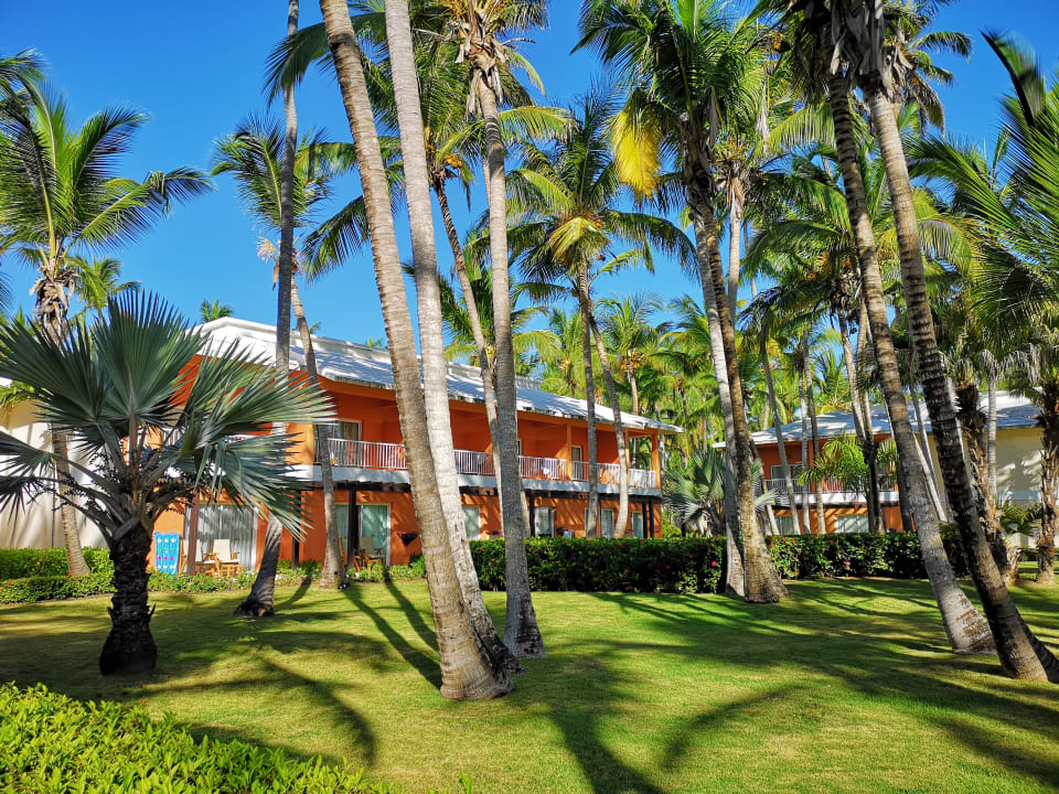 Gartenanlage Hotel Grand Palladium Palace Resort, Spa & Casino