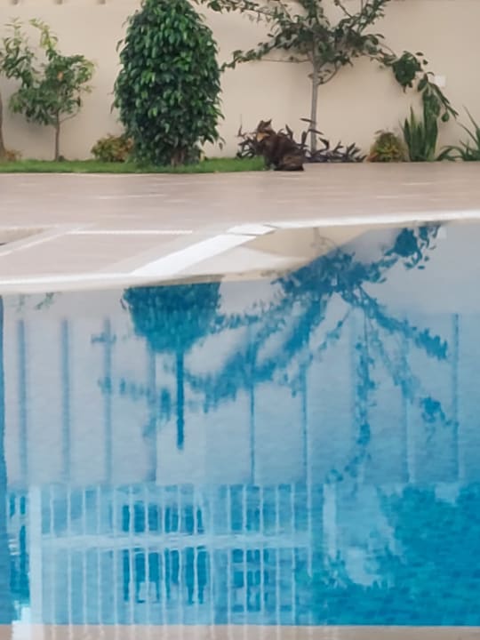 Pool Nerton Hotel - Erwachsenenhotel ab 16 Jahren