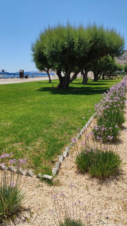 Gartenanlage Lindos Princess Beach Resort & Spa