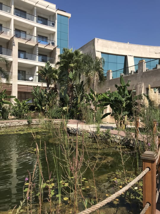 Gartenanlage Paloma Pasha