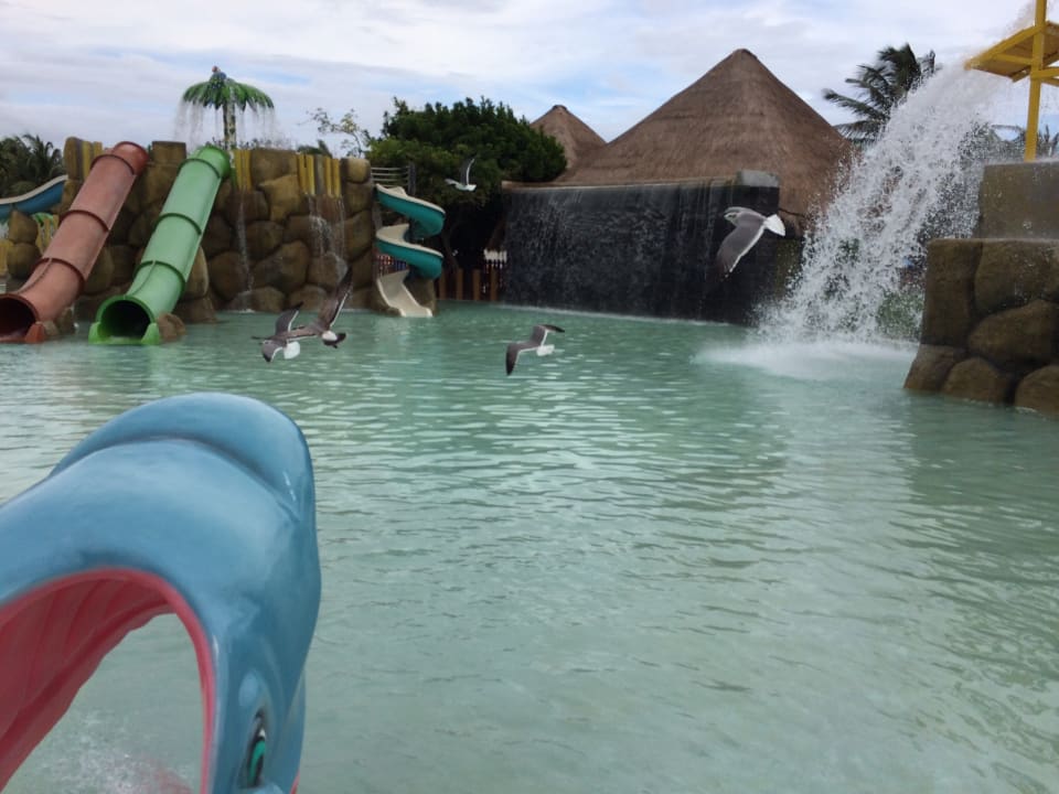 Sport & Freizeit Fiesta Kantenah Paladium Grand Resort & Spa