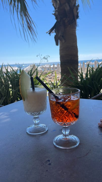 Gastro PALOMA Perissia