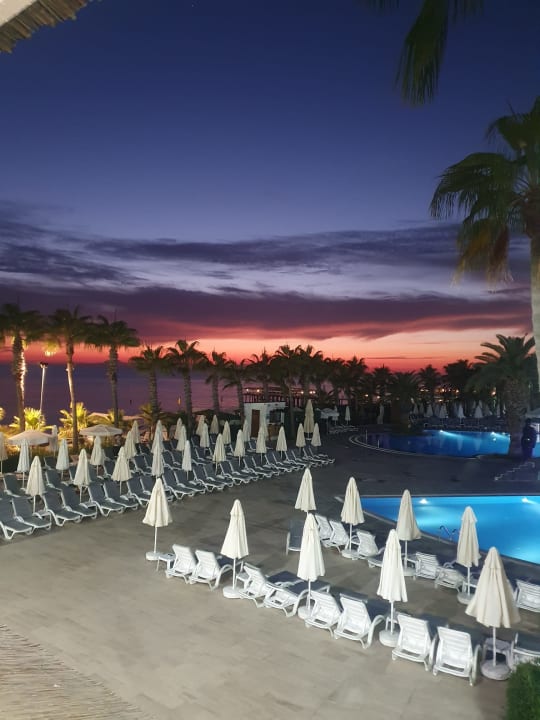 Pool Hotel Botanik Platinum