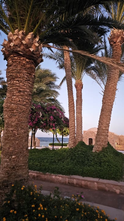 Gartenanlage Mövenpick Resort El Quseir