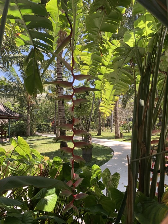 Zimmer Segara Village Hotel