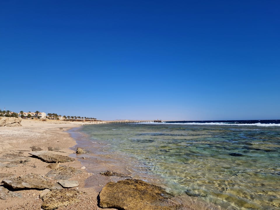 Strand Steigenberger Resort Alaya Marsa Alam - Red Sea - Adults only