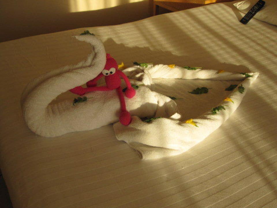 Vogel Hotel JAZ Makadi Star & Spa