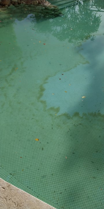 Pool Ghazala Gardens