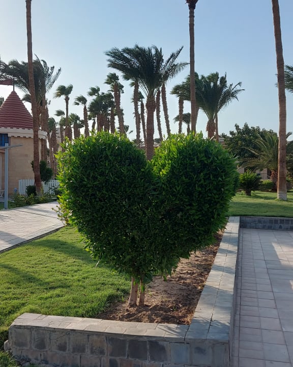 Gartenanlage Beach Albatros Resort