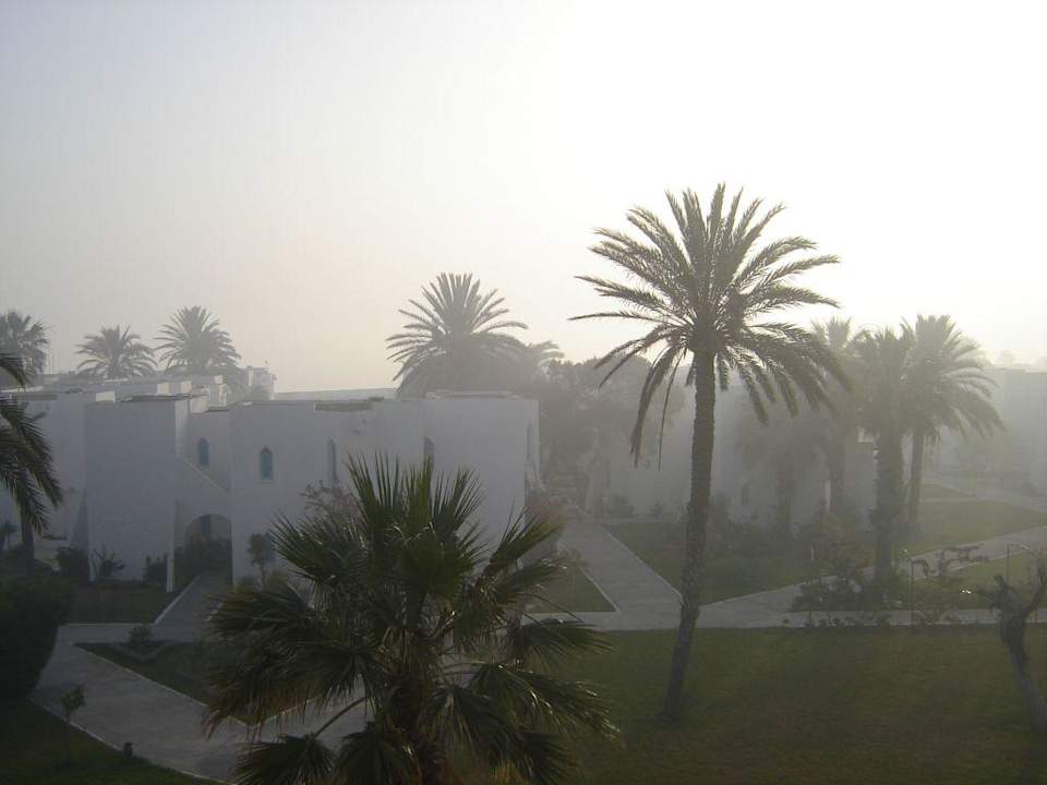Fog in the early morning? Ruspina Beach Resort