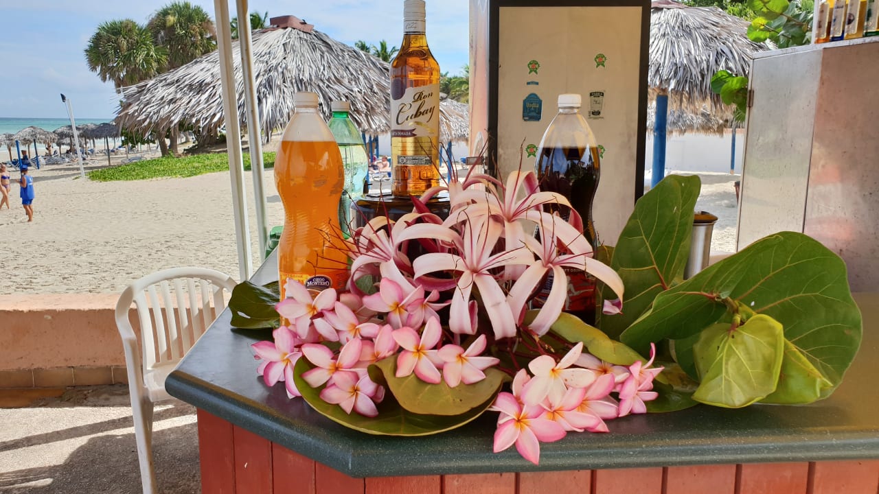 Strand Starfish Cuatro Palmas