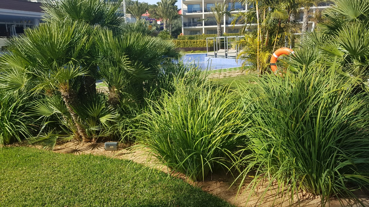 Außenansicht Zafiro Palace Palmanova