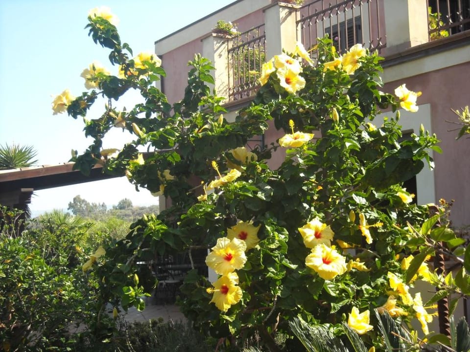 Ibiscus Agriturismo Villa Luca