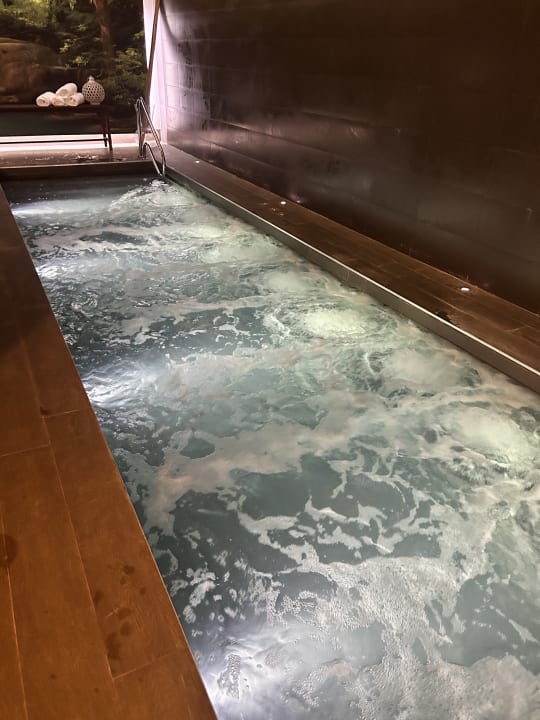 Pool Hotel Hospes Palau de Mar