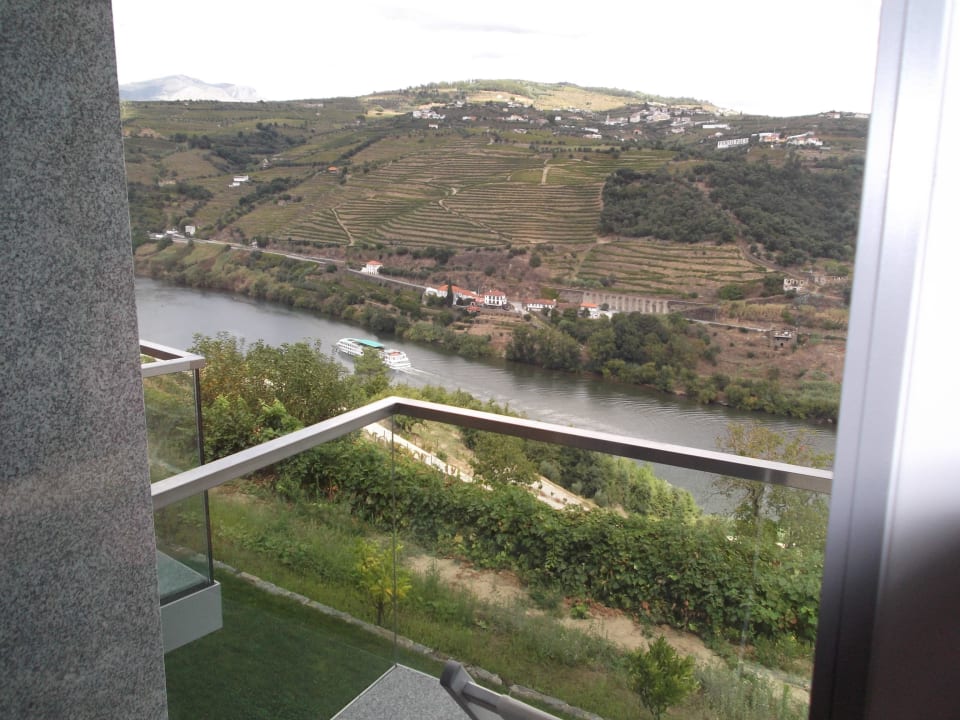 View from your room Hotel Delfim Douro