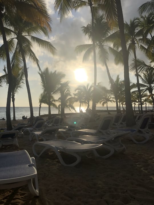 Strand Hotel Viva Dominicus Palace by Wyndham-All Inclusive Resort