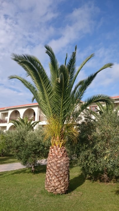 Sonstiges Akrathos Beach Hotel