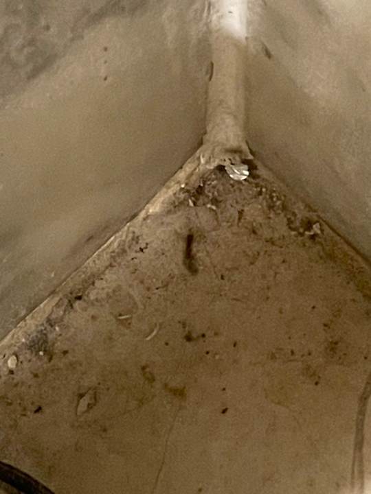 Zimmer Asteria Family Belek