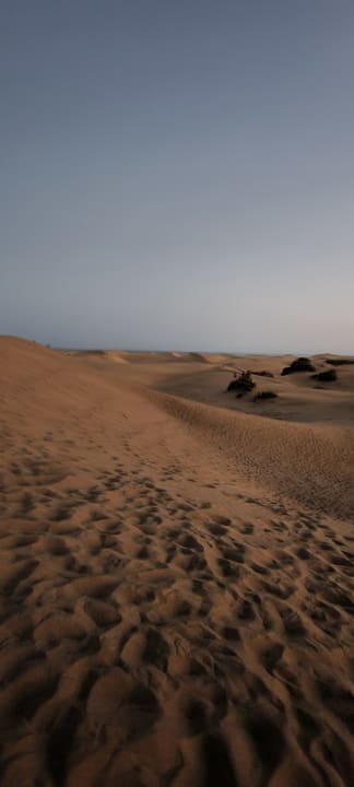 Zimmer Hotel Riu Palace Maspalomas Adults Only