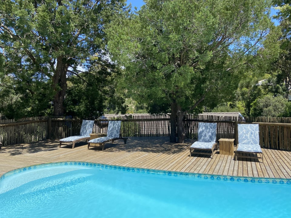 Pool Badger's Lodge