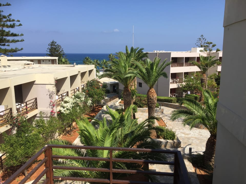 Gartenanlage allsun Hotel Malia Beach