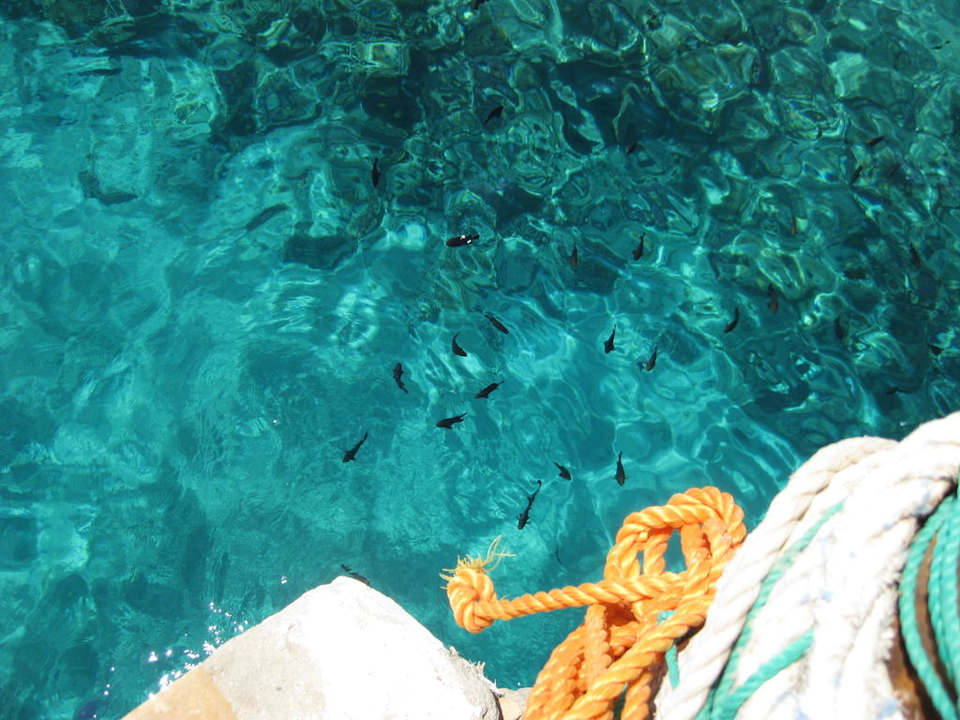 Fische Titanic Beach Spa & Aqua Park