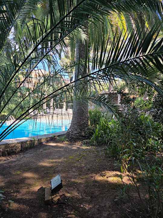 Pool Lago Garden