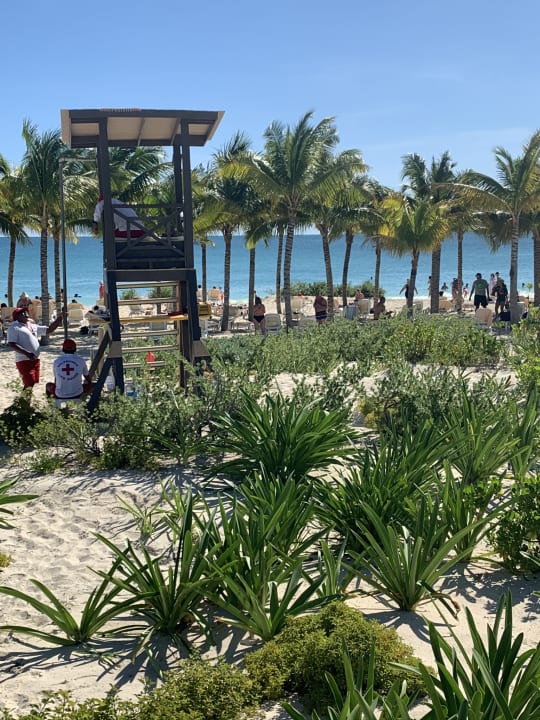 Strand Hotel Riu Dunamar