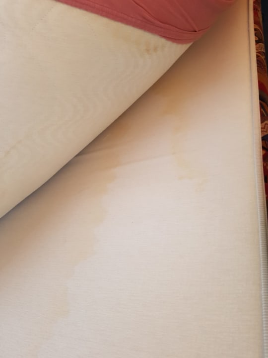 Zimmer Hotel Seeblick