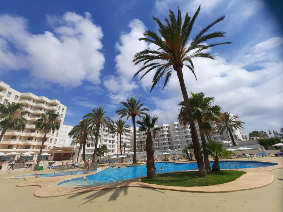 Pool Aparthotel Playa Dorada