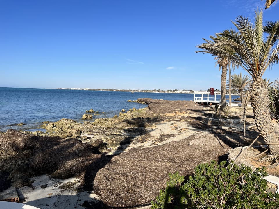 Strand Hotel El Mouradi Djerba Menzel