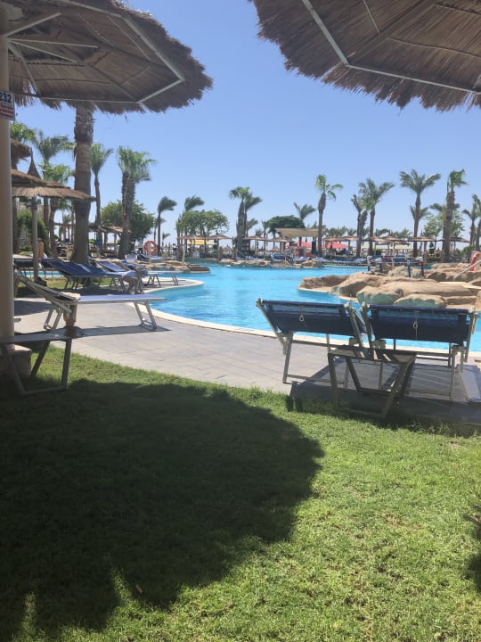 Pool Pickalbatros Palace Resort