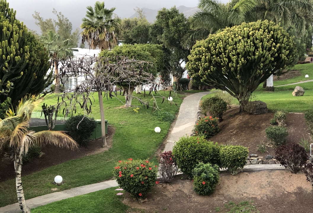 Gartenanlage allsun App.-Hotel Esquinzo Beach